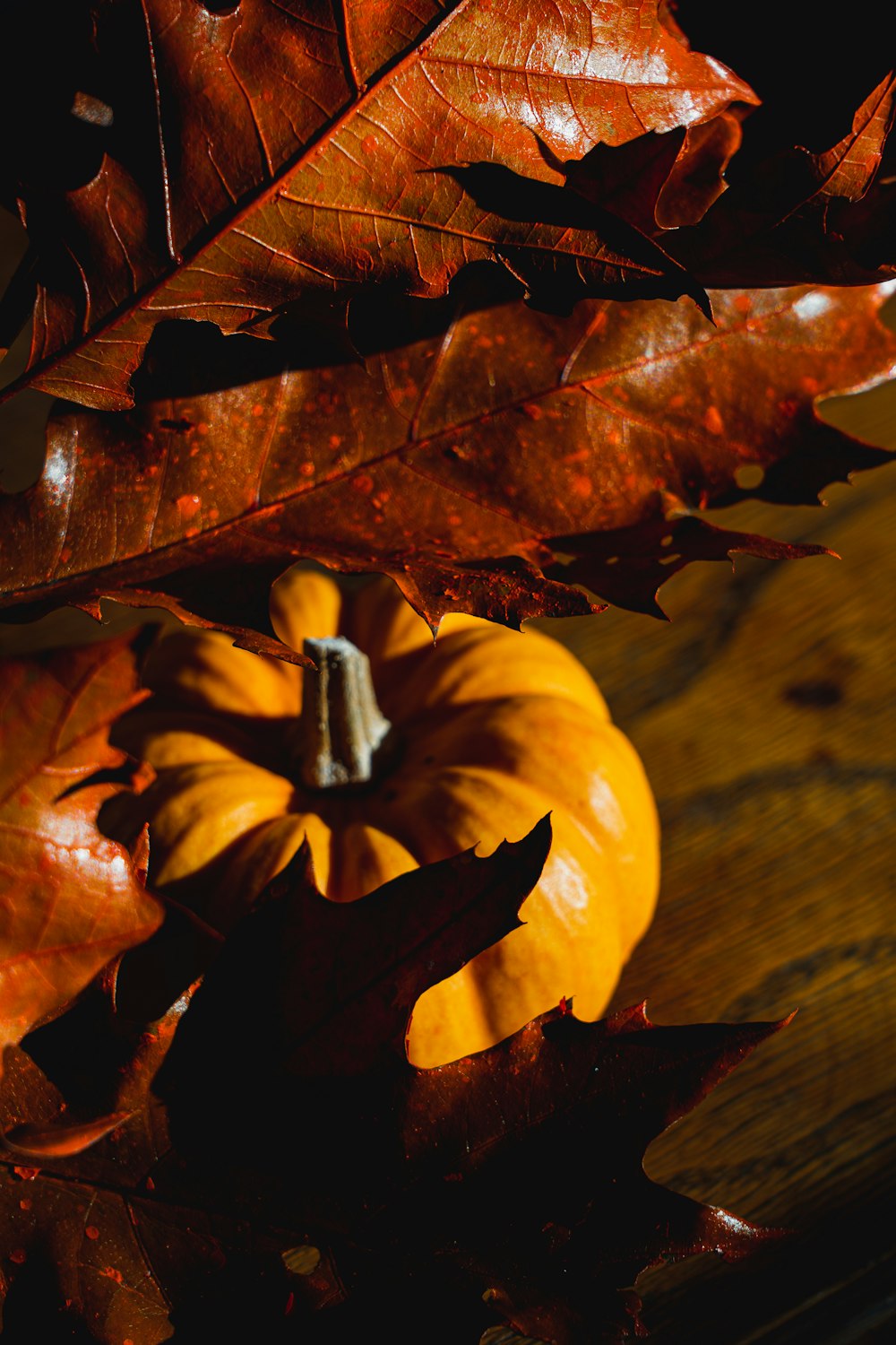 a small pumpkin sitting on top of a wooden table