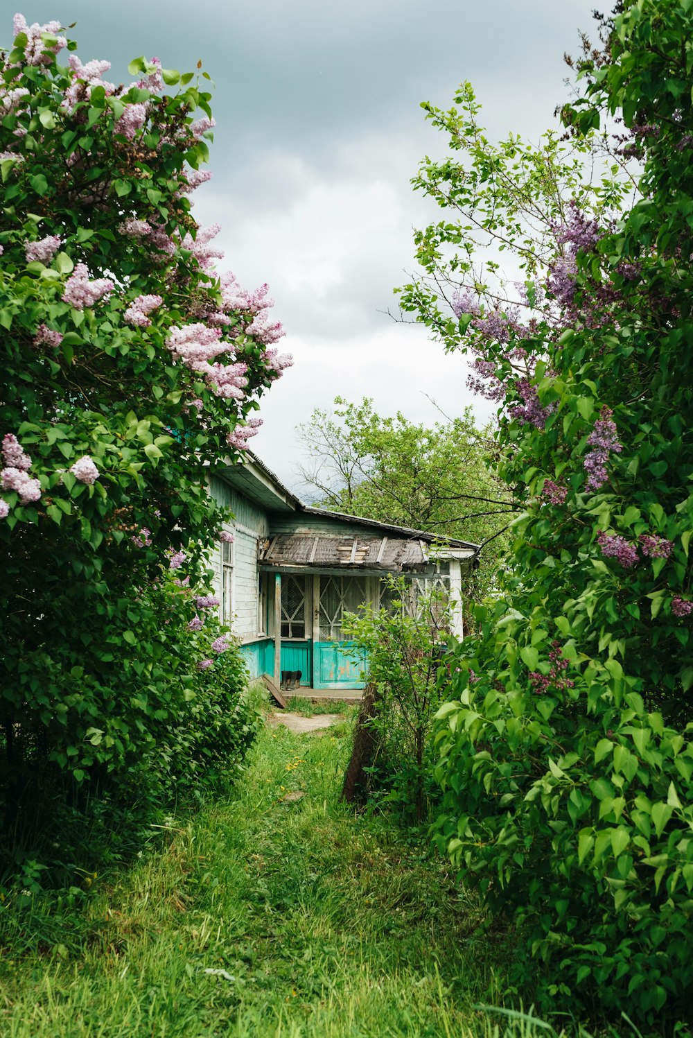 a house is surrounded by bushes and flowers