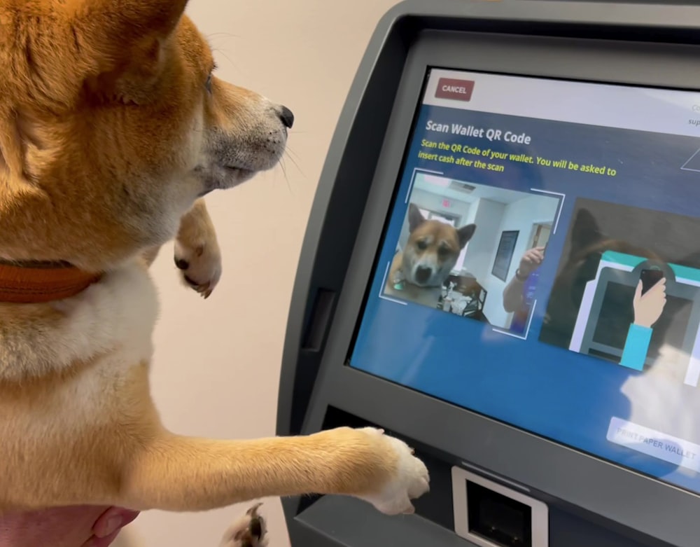a person holding a dog in front of a computer screen