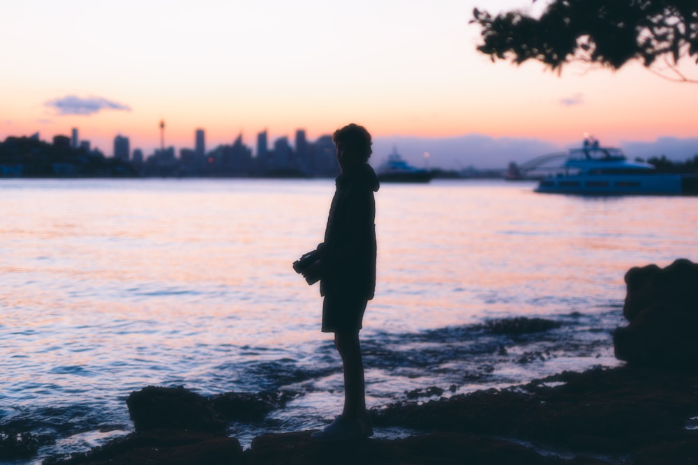 a person standing on the shore of a body of water