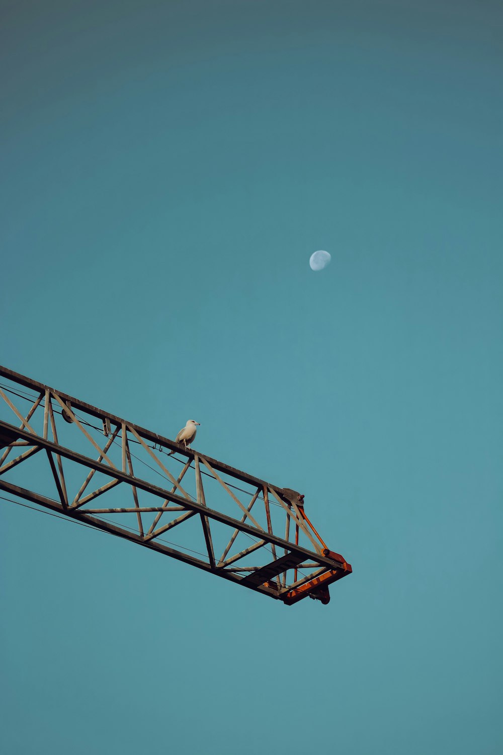 a bird sitting on top of a metal structure