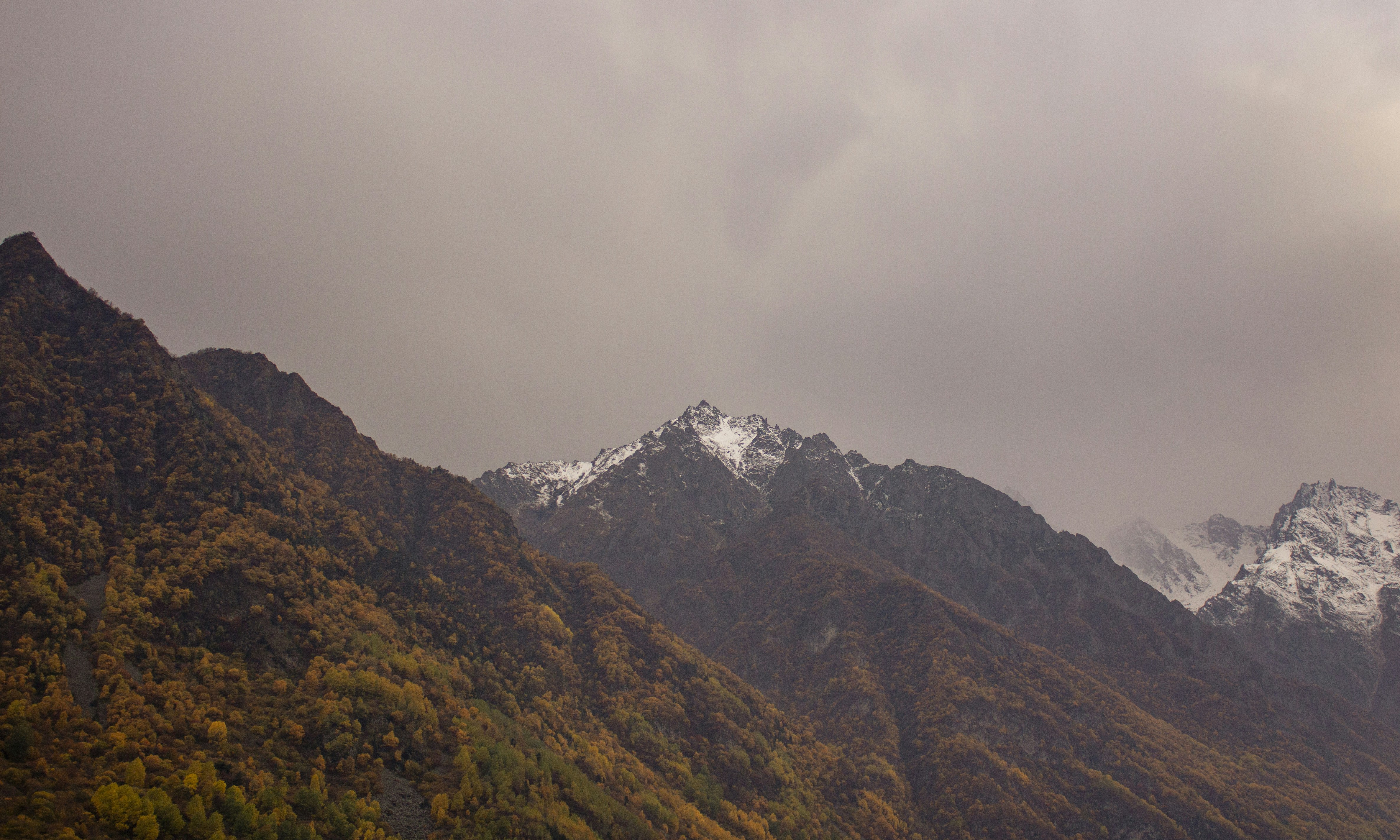 Photo by juvnsky