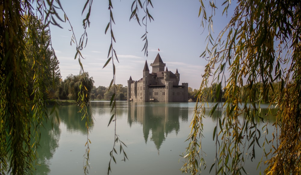 Un château au sommet d’un lac entouré d’arbres