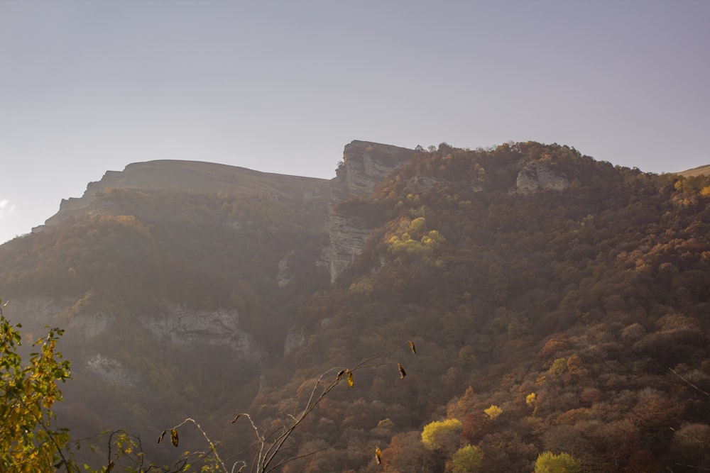 a view of a mountain with trees in the foreground