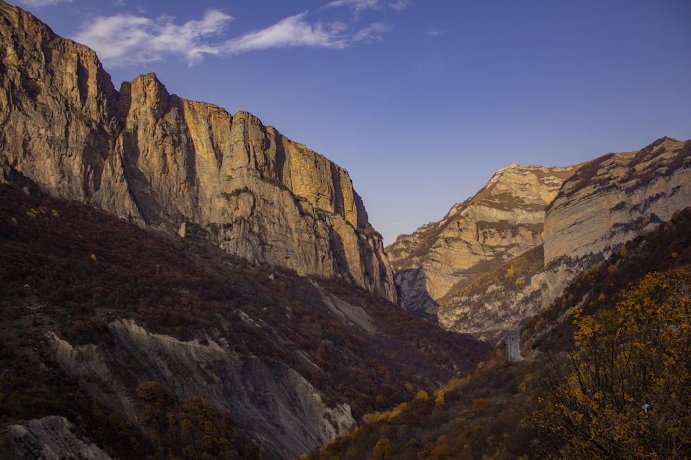 une vue d’une chaîne de montagnes avec quelques arbres au premier plan