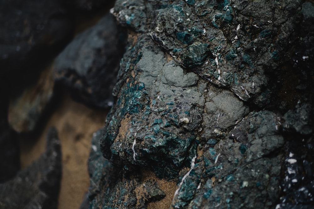 a close up of a rock with green moss growing on it