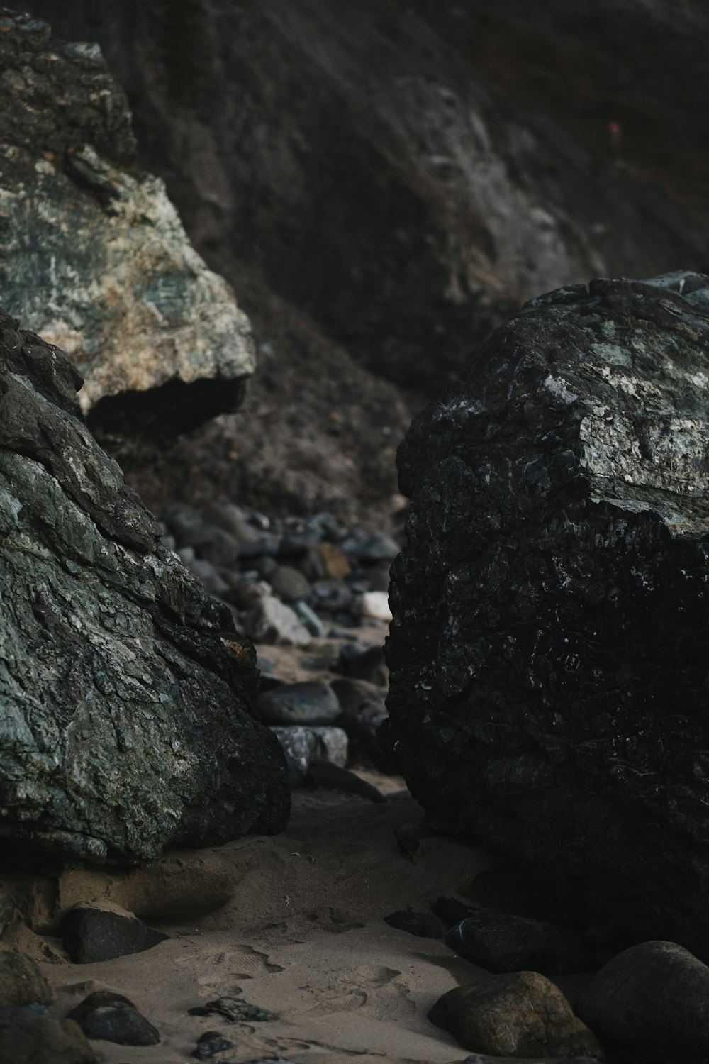 a bird is sitting on a rock on the beach