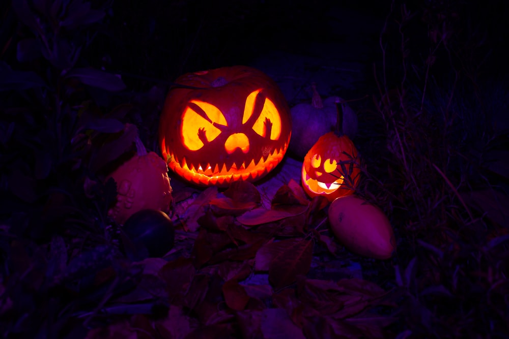 a couple of pumpkins sitting on top of leaves