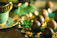 Close-up of a colorful candy bar setup with handmade pottery decorations and lush green plants.