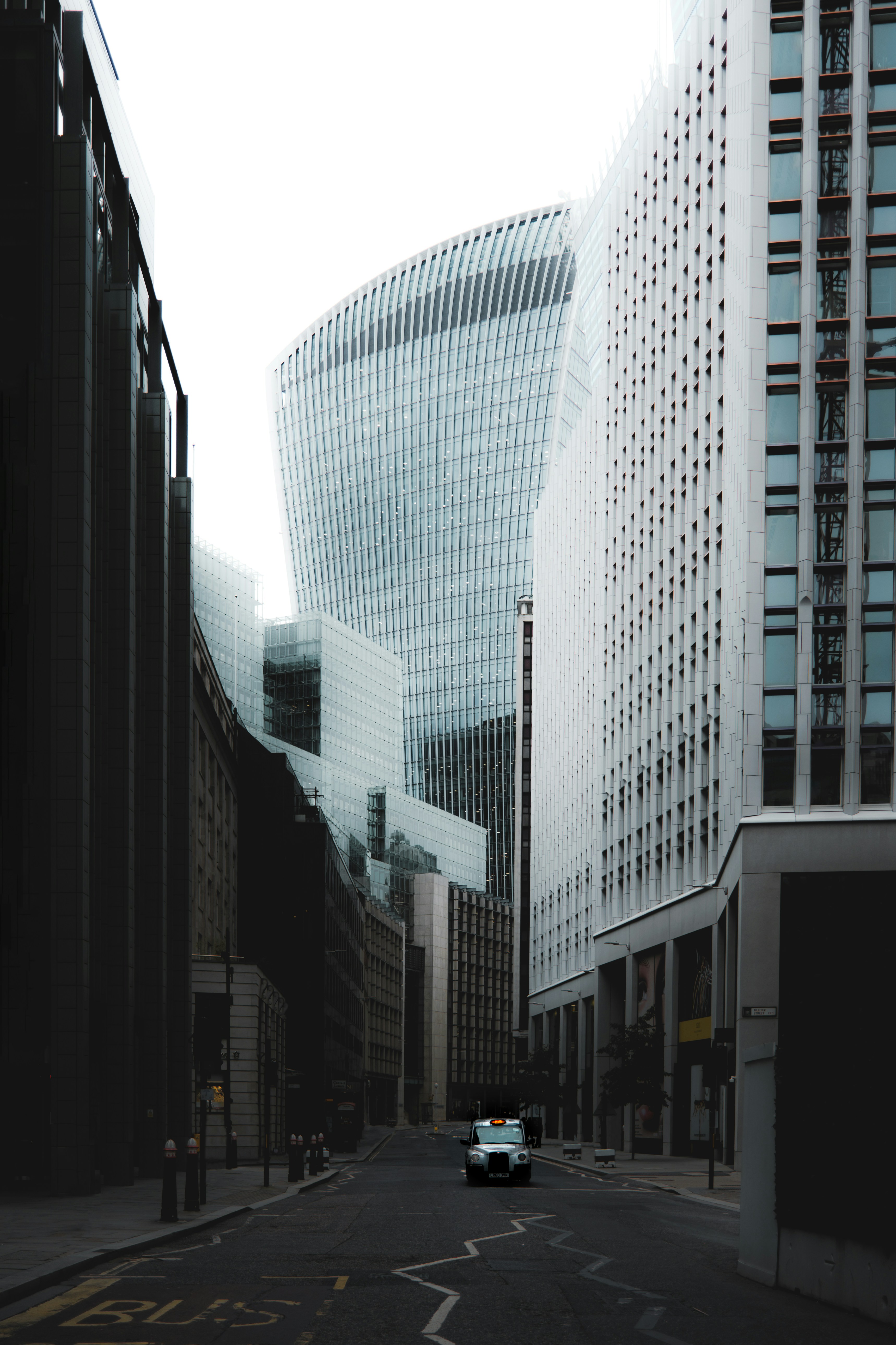 Photo by lawlesscapture