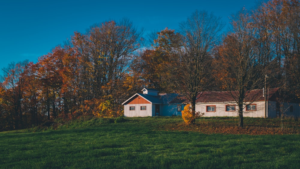 a white house sitting on top of a lush green field