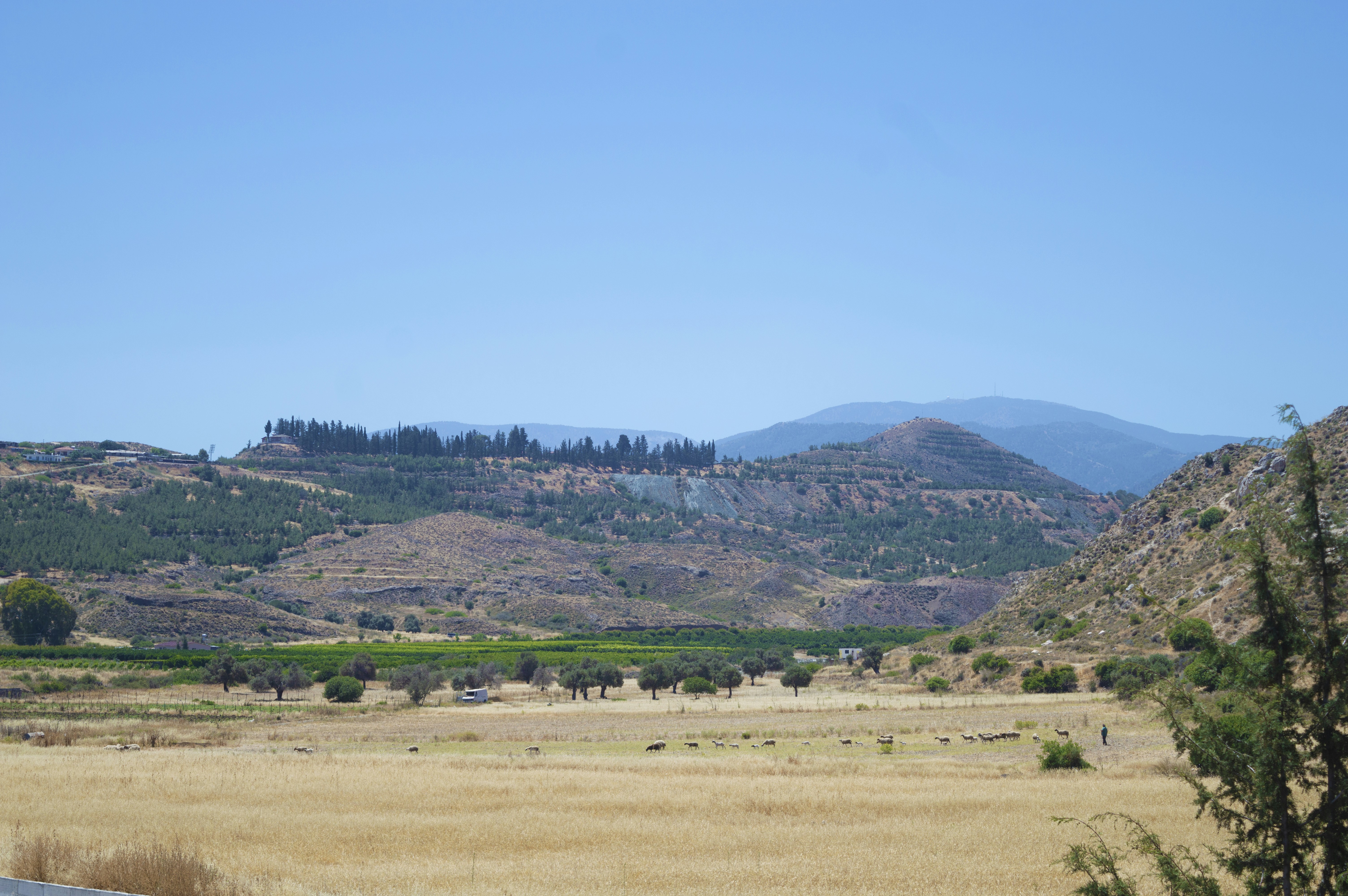 Photo by bansahphotography248