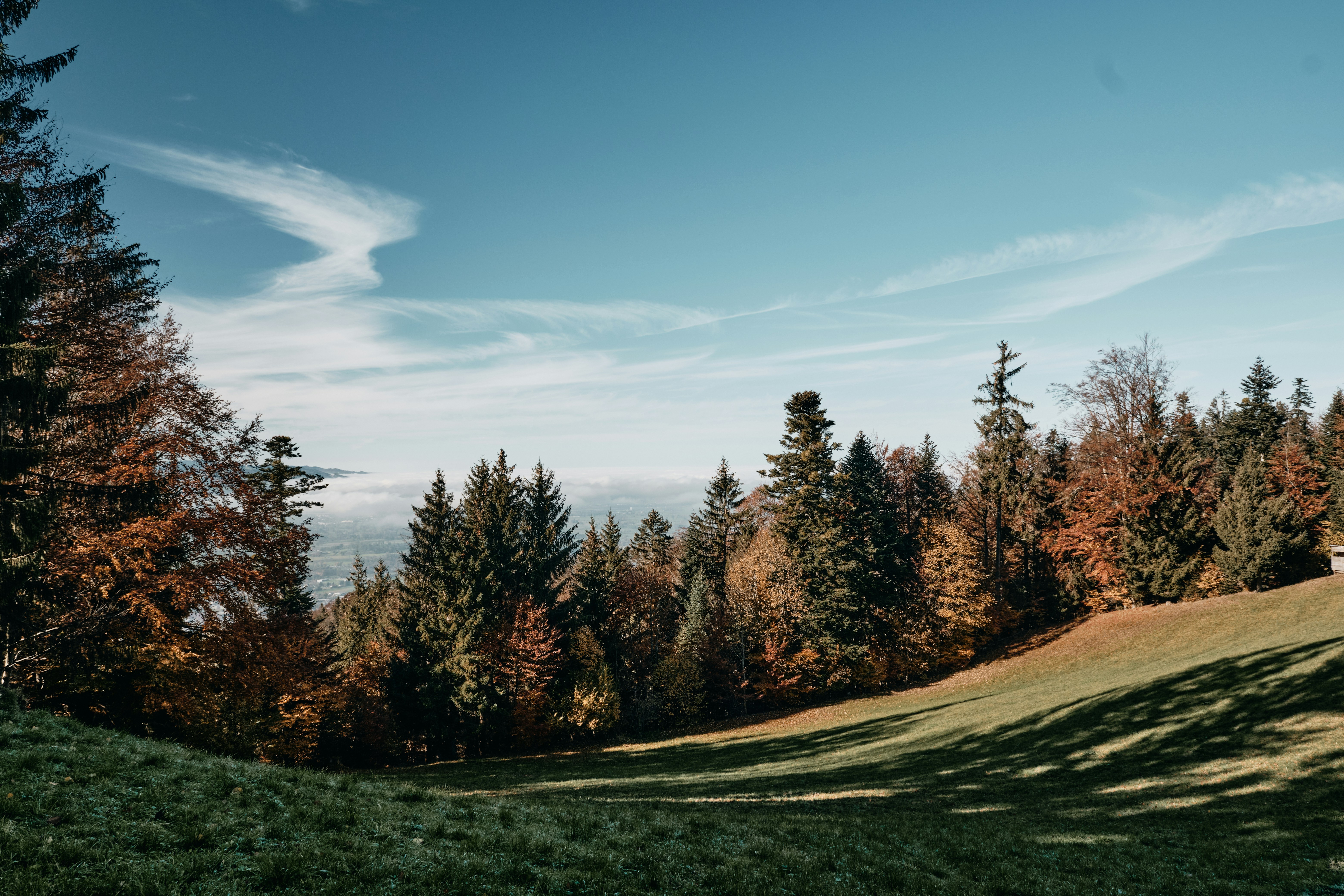 Photo by marcus_ganahl