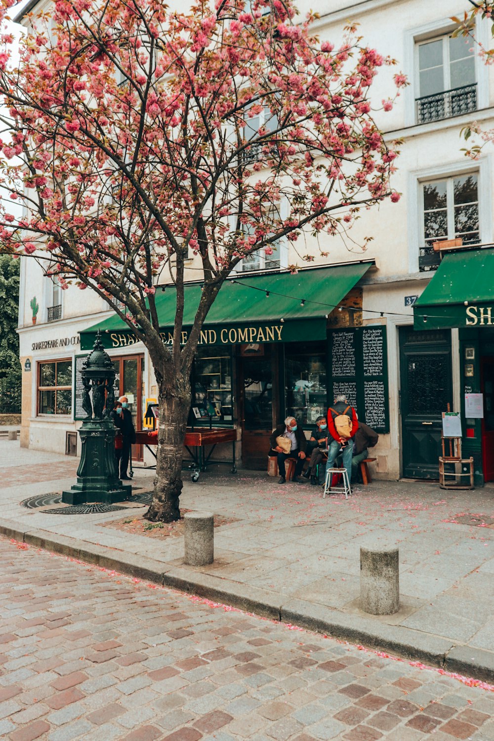 a tree with pink flowers in front of a store