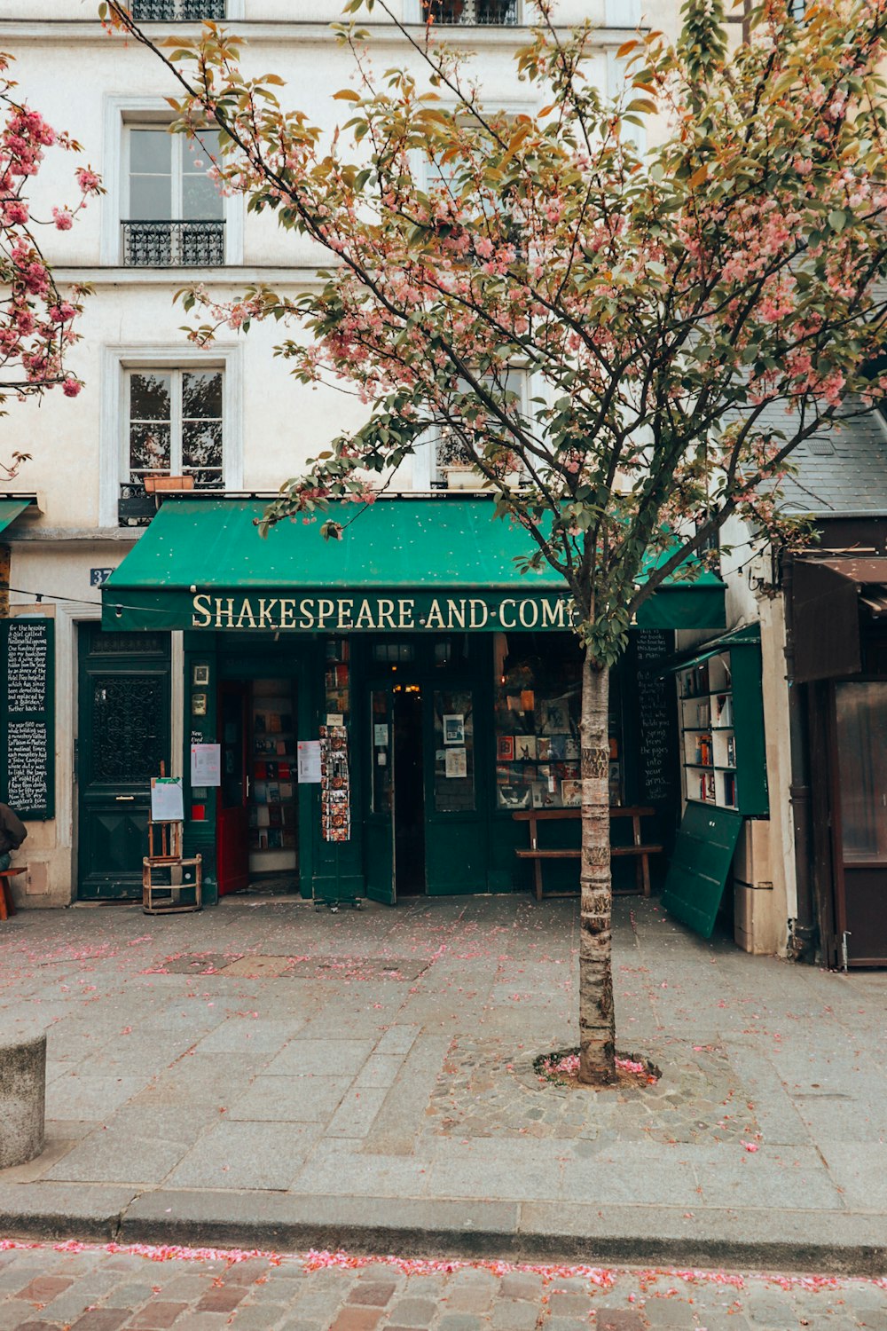 a tree in front of a store with a green awning