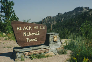 a sign for black hills national forest with a mountain in the background