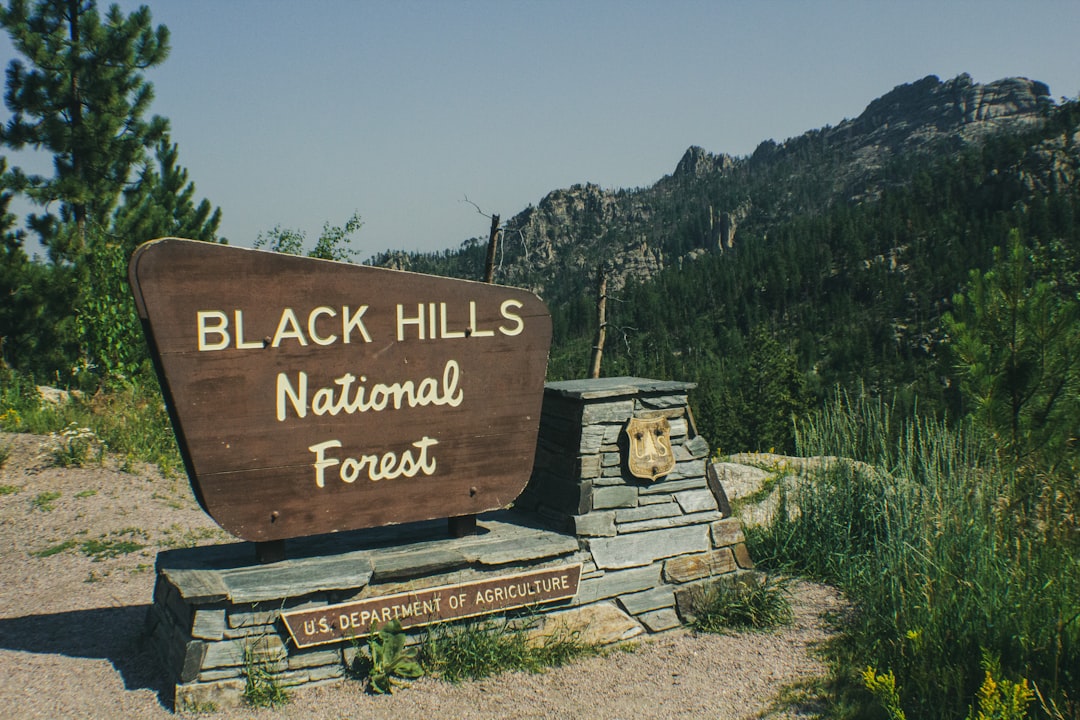 a sign for black hills national forest with a mountain in the background