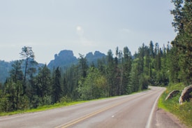 A winding road stretches through a lush forest landscape, surrounded by dense greenery and tall pine trees. In the distance, rugged mountain formations rise against a clear blue sky, creating a serene and natural setting.
