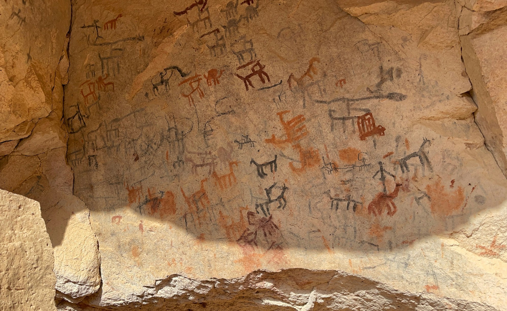 Cave art of animals in multiple colors