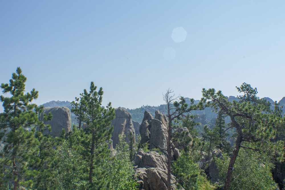 a view of a mountain range with trees in the foreground