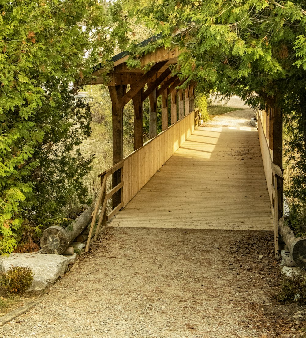 a wooden bridge over a river surrounded by trees