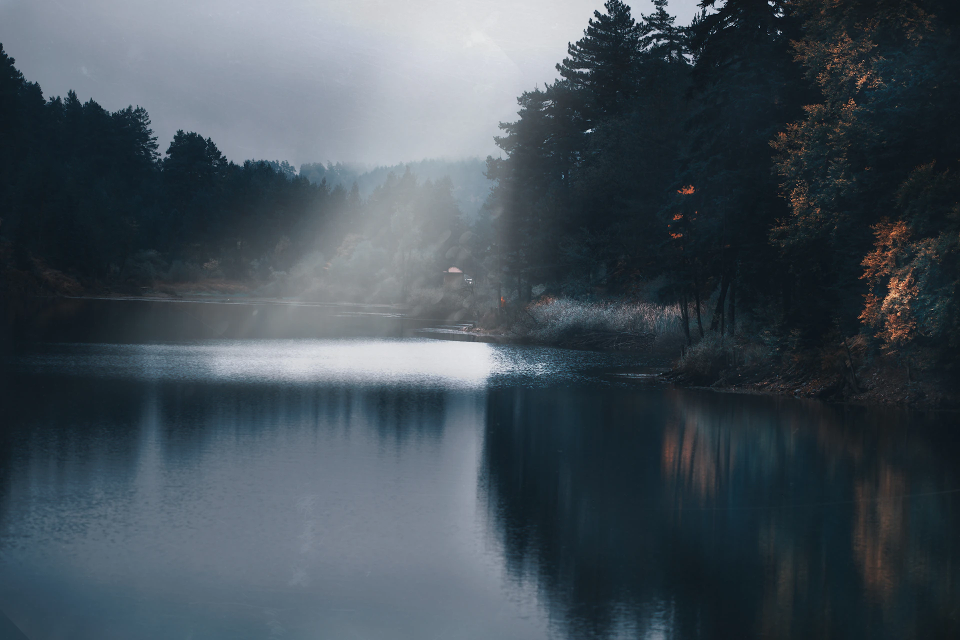 a body of water surrounded by trees and fog