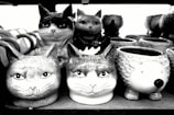 Several ceramic mugs and containers are shaped and painted to look like various animal heads. The majority resemble cats, while one appears to be a hedgehog.
