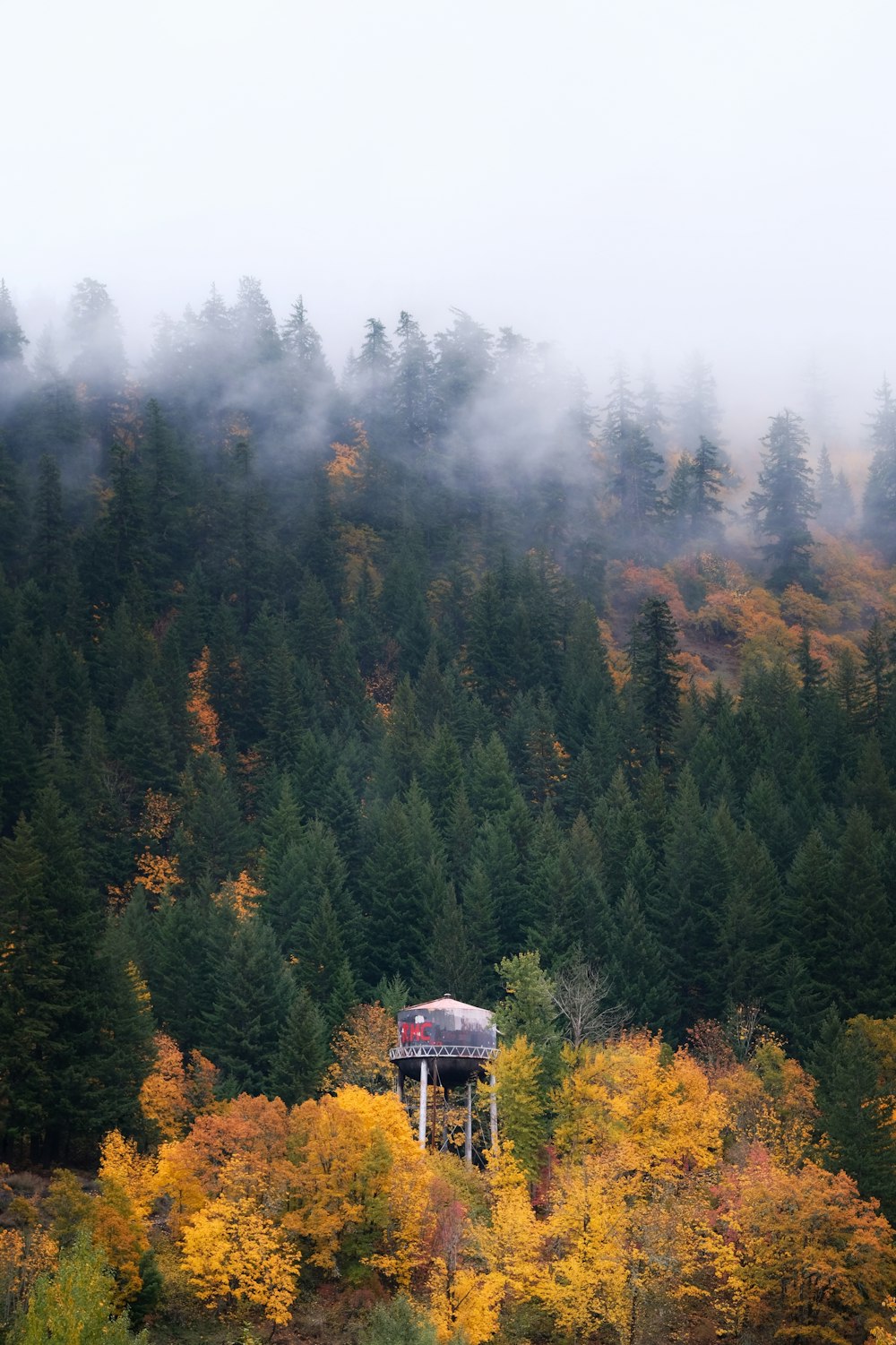 a tree house in the middle of a forest