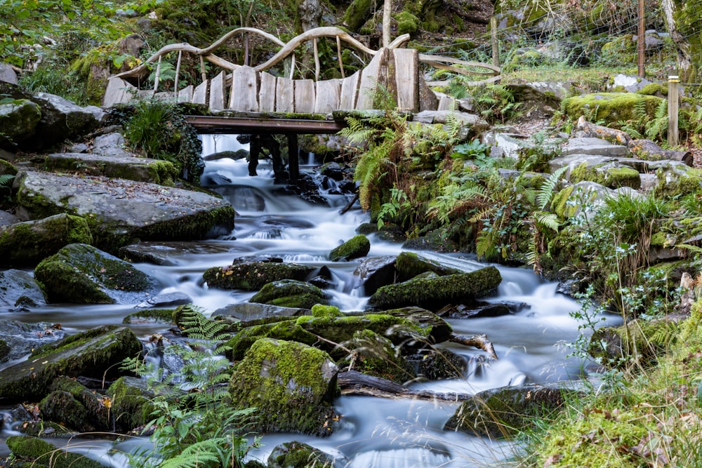 a wooden bridge over a stream in a forest