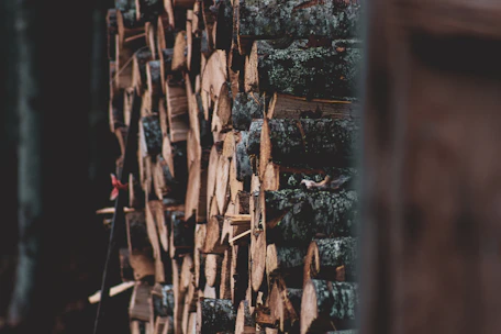 Stack of neatly cut beech firewood logs ready for sale in a rustic outdoor setting