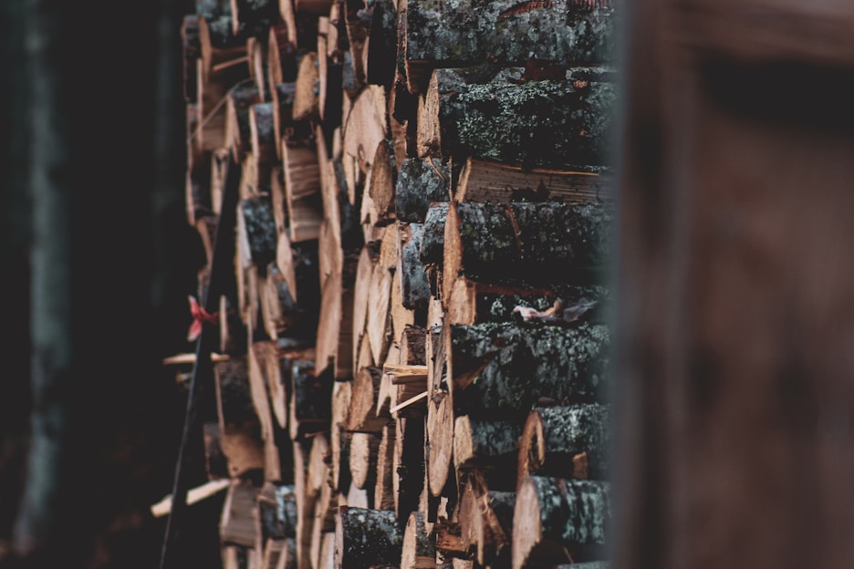 A stack of neatly arranged chopped firewood logs is visible, with varying shades of brown and hints of green moss on the bark, suggesting a rustic and natural setting. The logs are cut into uniform pieces, indicating they are prepared for use as firewood.