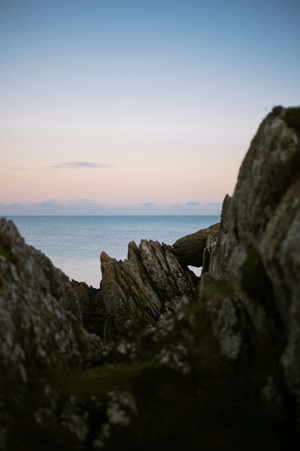 a bird sitting on a rock near the ocean