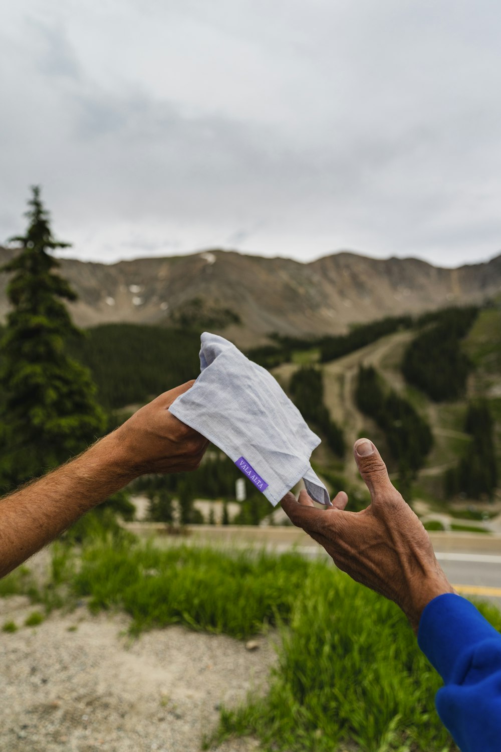 a person holding a piece of paper in their hand