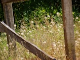 A close-up of a rustic wooden fence with wildflowers blooming around it at dawn.