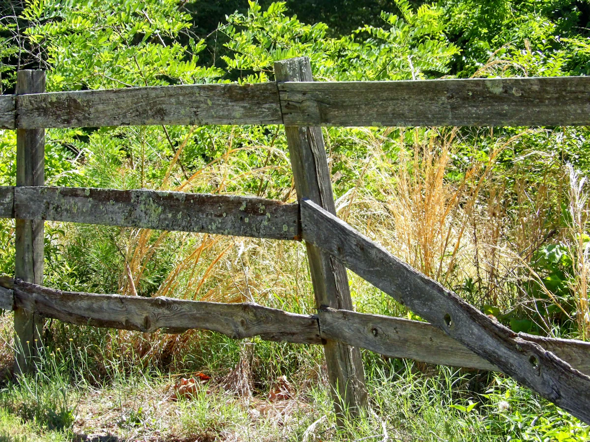 Clôture en bois délimitant un jardin engazonné