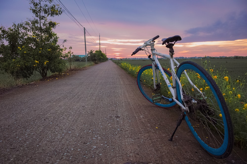 a bike parked on the side of a dirt road