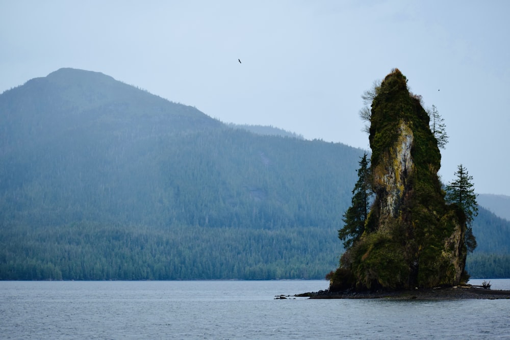 an island in the middle of a body of water