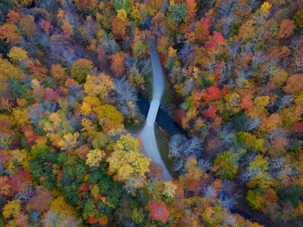 an aerial view of a road surrounded by trees