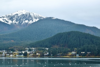 a view of a lake with a mountain in the background