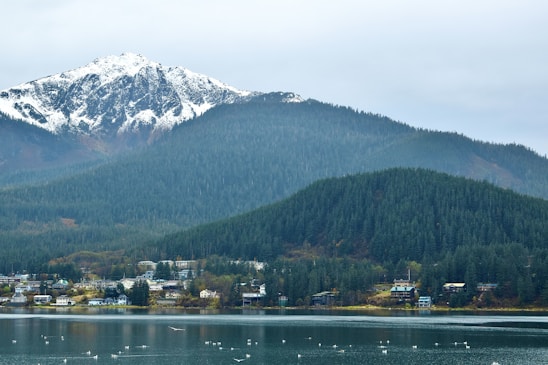 a view of a lake with a mountain in the background