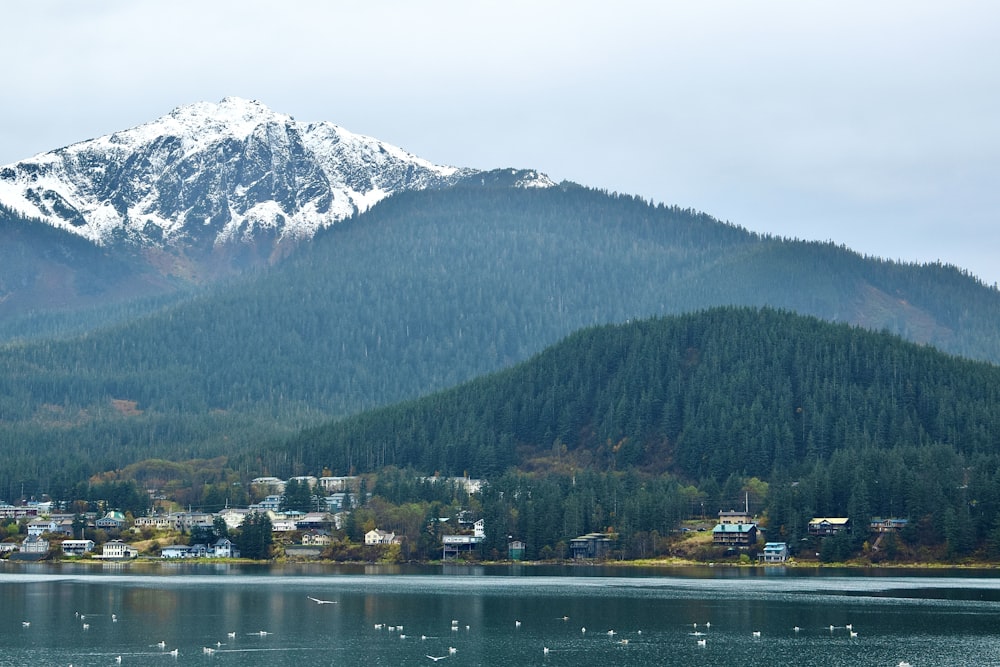 a view of a lake with a mountain in the background