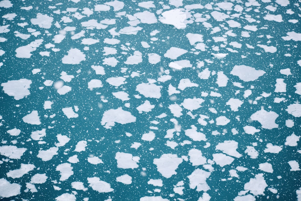 a large amount of ice floating on top of a body of water