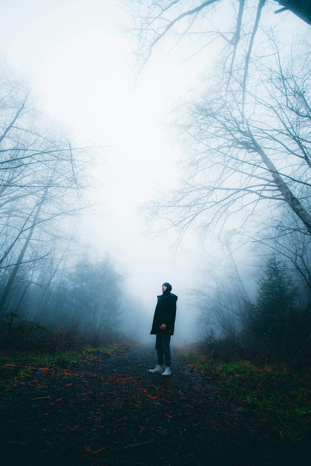 a person standing in the middle of a forest on a foggy day