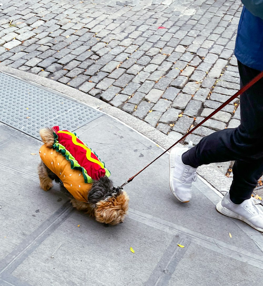 un cane che indossa un costume da hot dog al guinzaglio