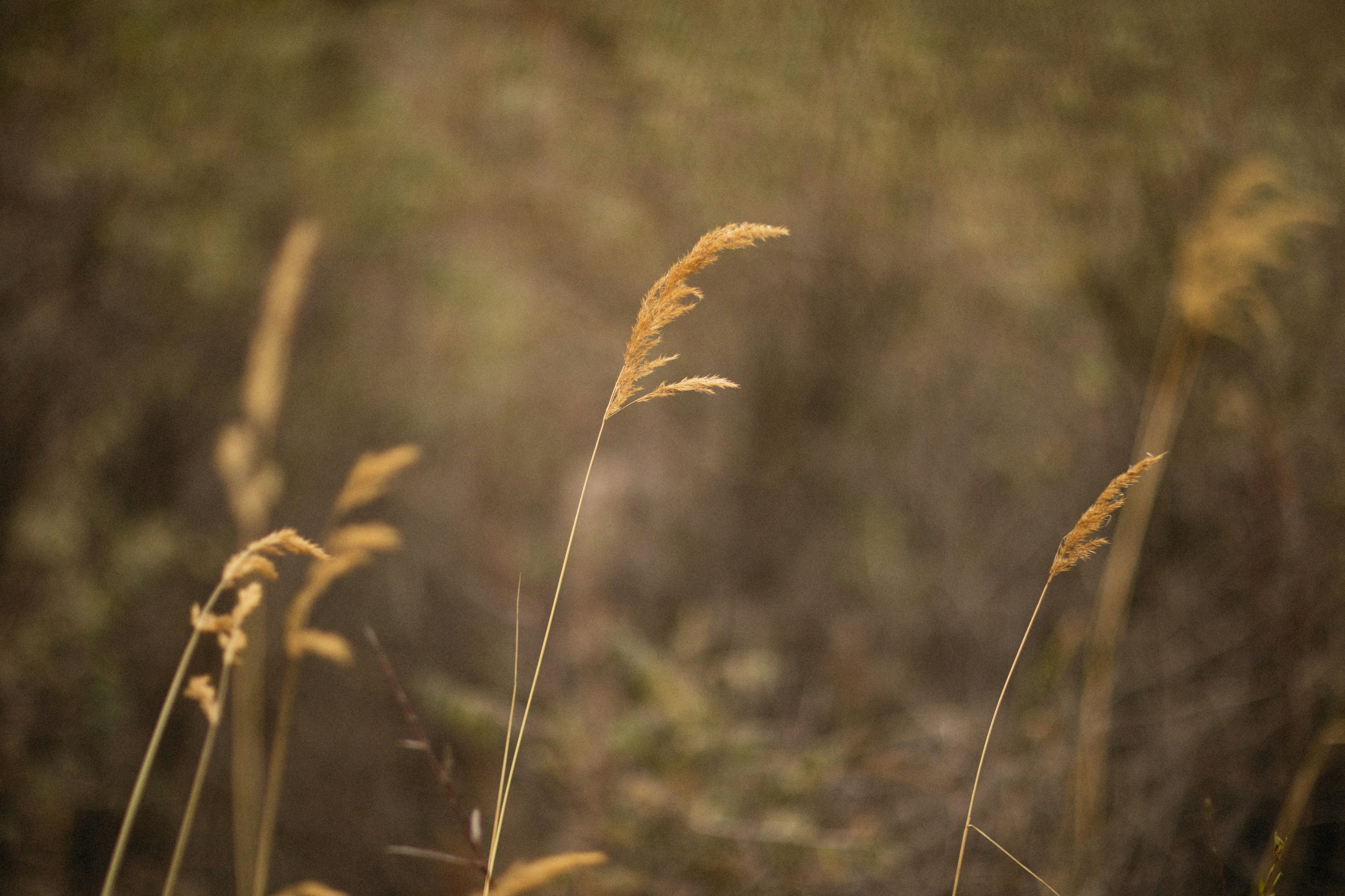 Photo by alexeydemidov