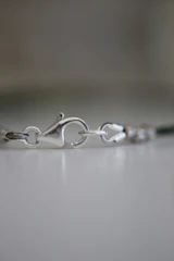 Macro shot of a polished clasp showcasing fine craftsmanship.