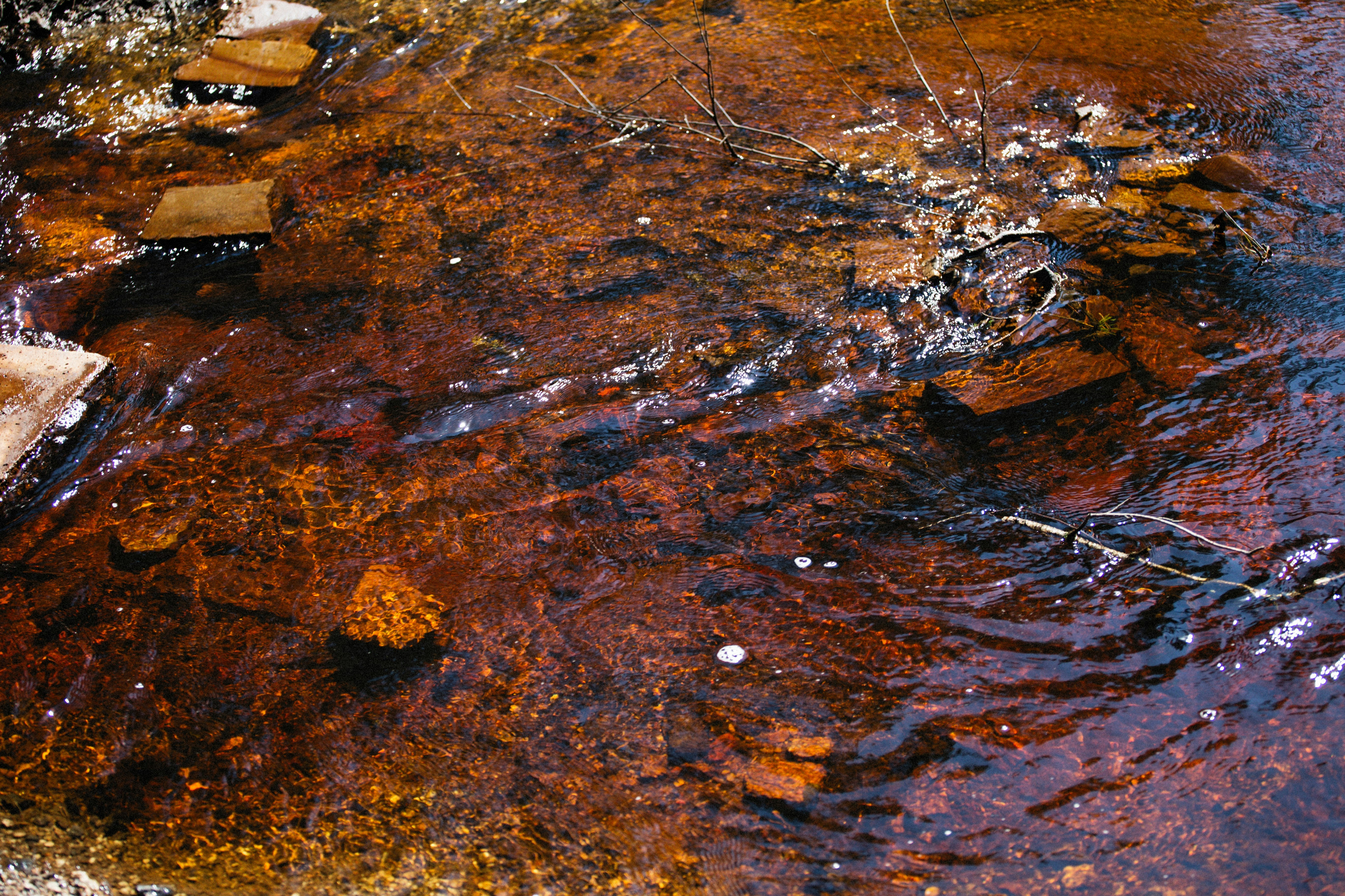 Photo by alexeydemidov