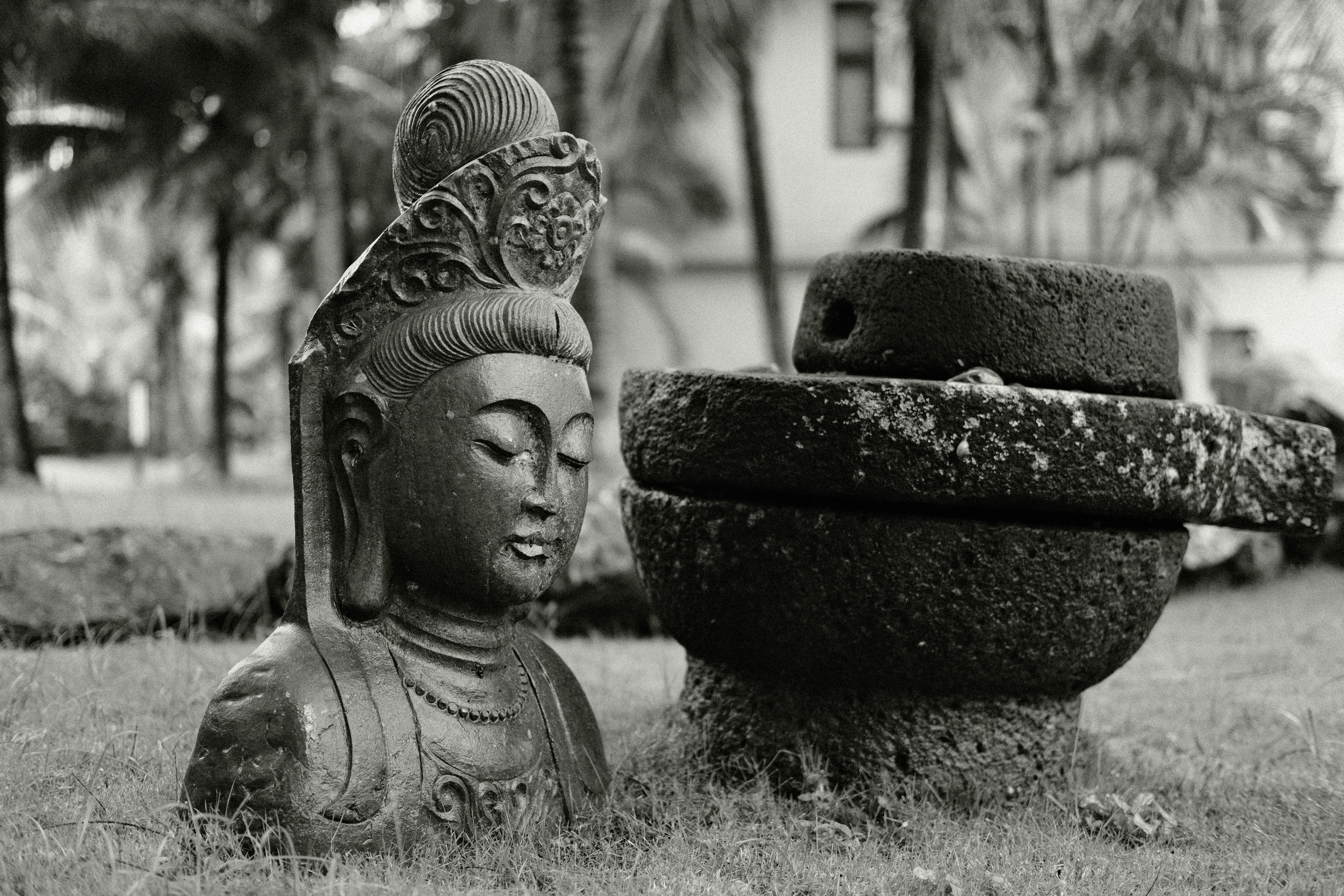 Photo by zhangfeialex