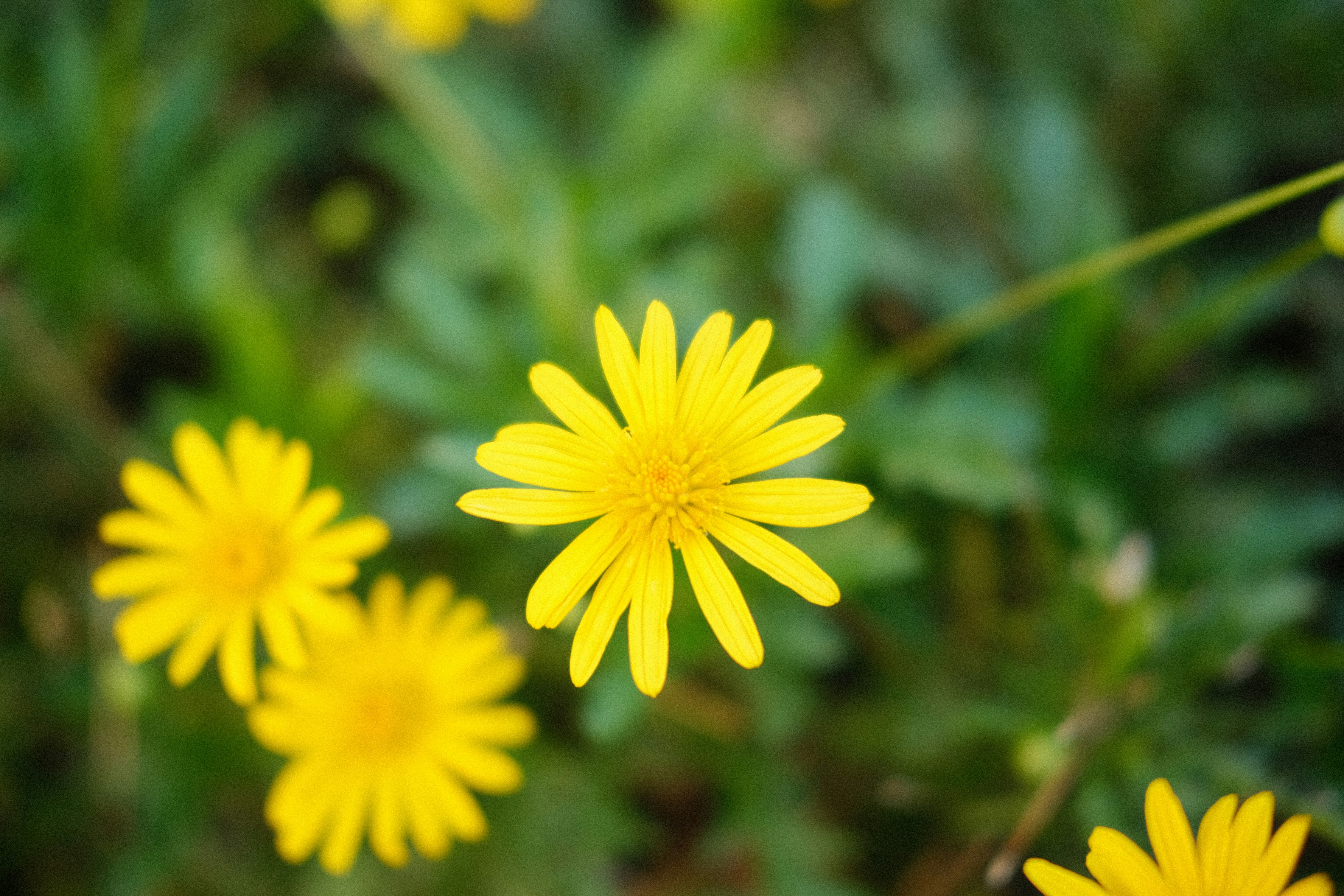 Photo by zhangfeialex