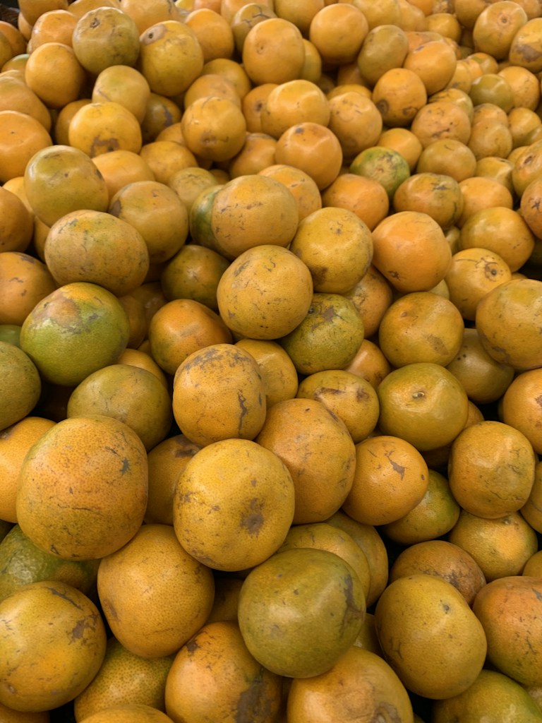 برتقال عصيري